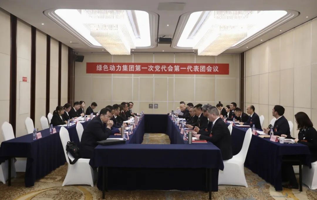 铭刻使命再出发，，，代表热议“两委”报告
